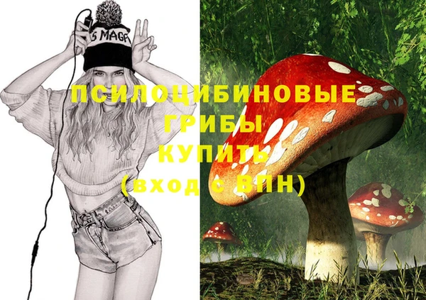 гидра Армянск
