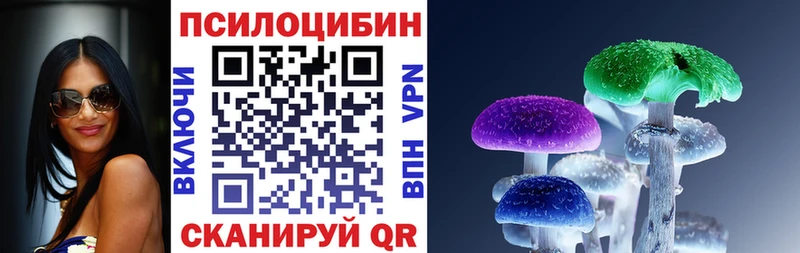 Псилоцибиновые грибы Cubensis  продажа наркотиков  Новоуральск 